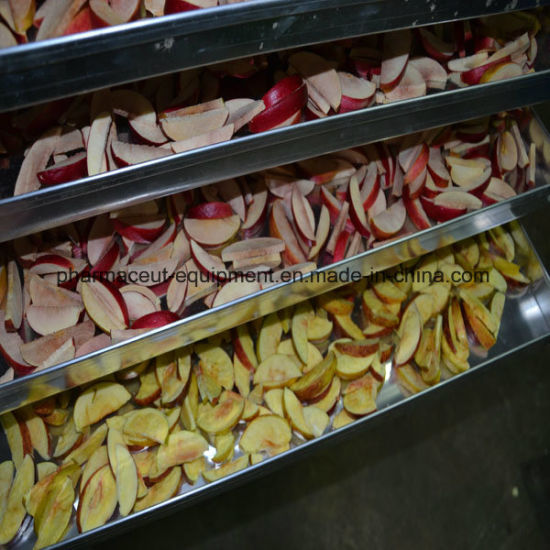 Лиофилизатор с вакуумной сушилкой