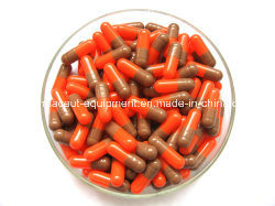 Лучшая новая модель машины для запечатывания твердых капсул Bnsf-600