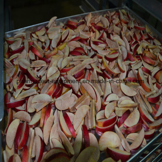 Лиофилизатор с вакуумной сушилкой