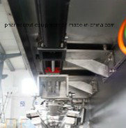 Высокоскоростная машина для упаковки в пакеты-саше 30-60 мешков/мин для порошка