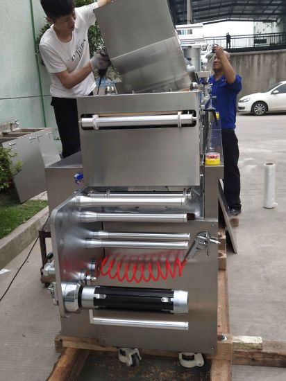 Высокоскоростная автоматическая блистерная упаковочная машина для таблеток/капсул (Dpp250)